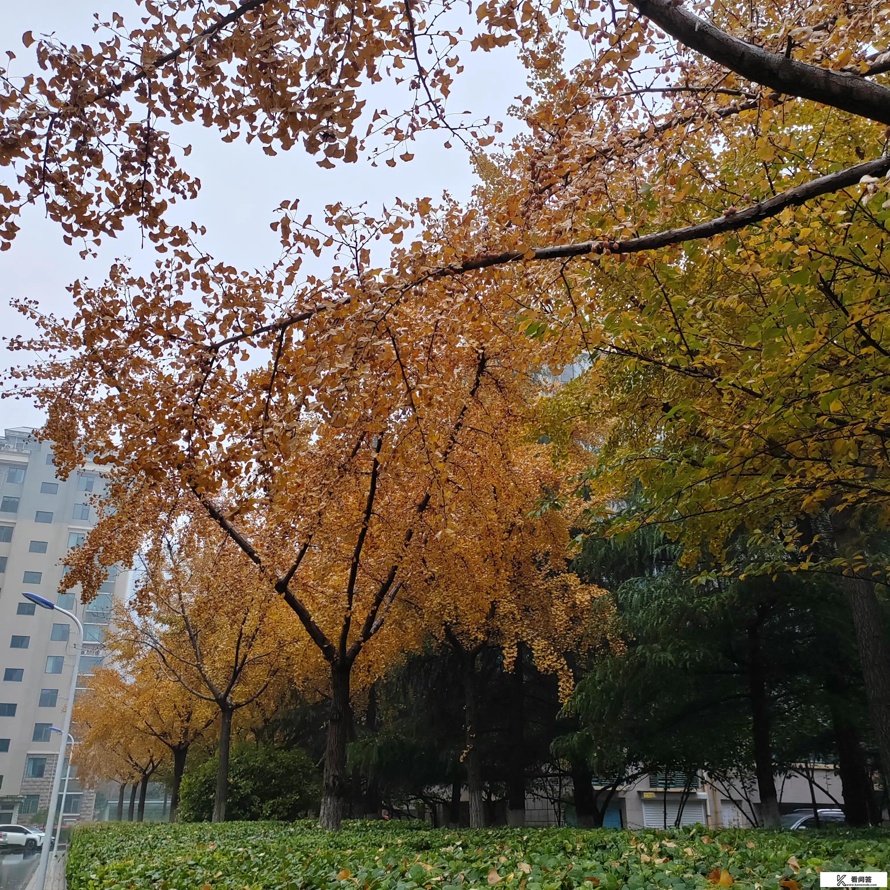 今年大学什么时候放寒假