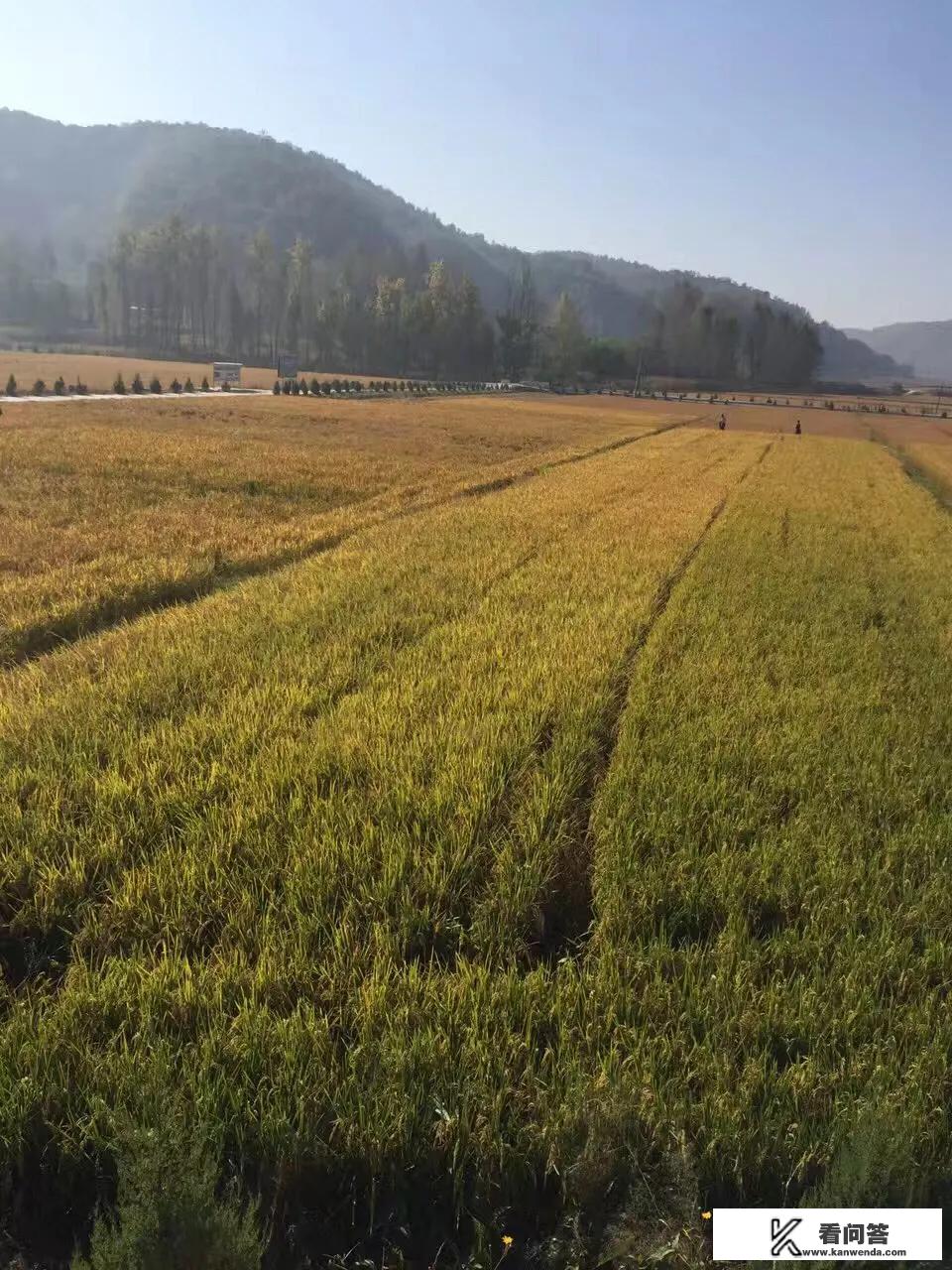 你旅行去过哪里？分享下你旅行去过的地方