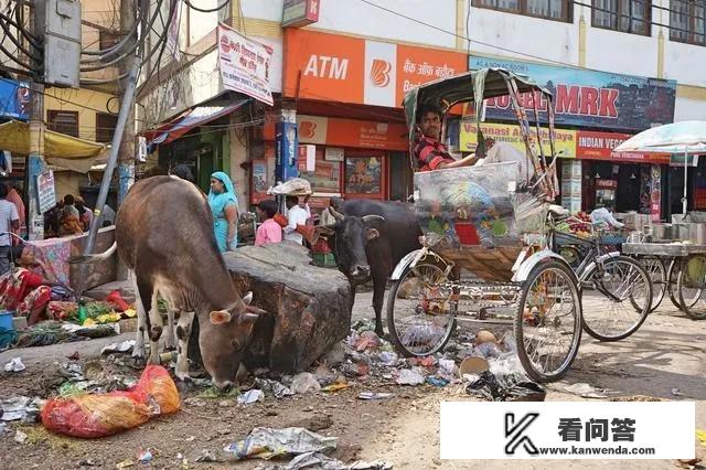 真实的印度到底是什么样的