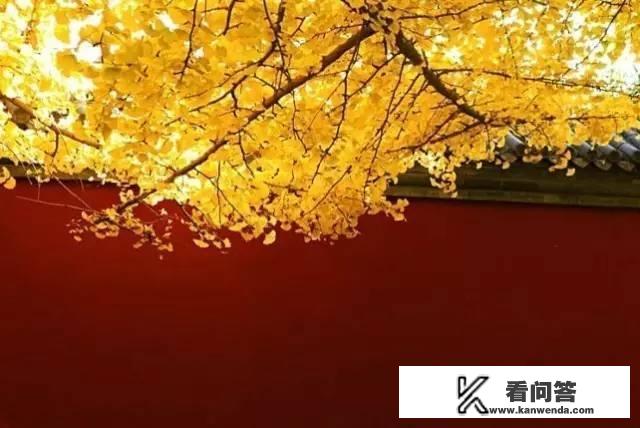 秋天，赏红叶，陶情操，淡心性，思自我，北京最美秋景前几名你觉得是哪里
