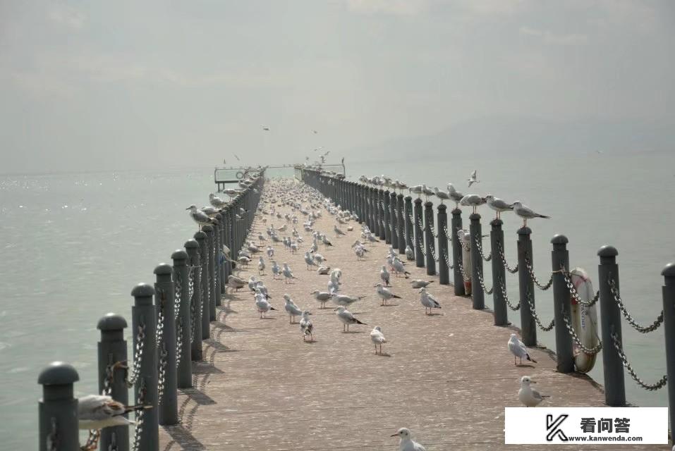 旅游小白跪求一条云南旅游最全攻略（第一次一个人旅游，性别女）时间消费什么的可以忽略舒服就行