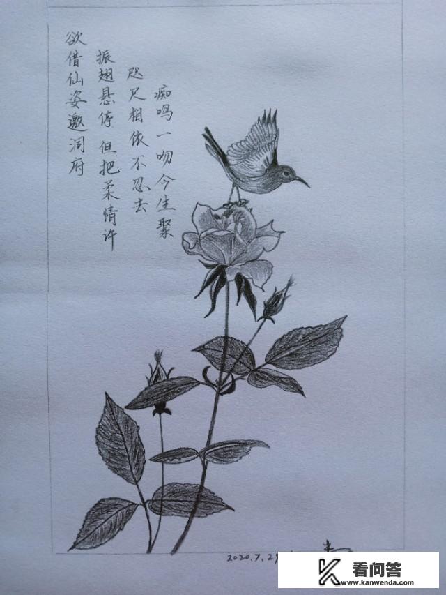 你自己画过哪些画