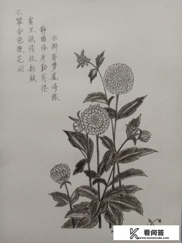 你自己画过哪些画