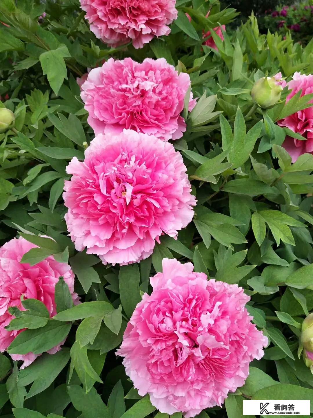 女生上职高学什么专业最好 女生上职高学什么专业最好