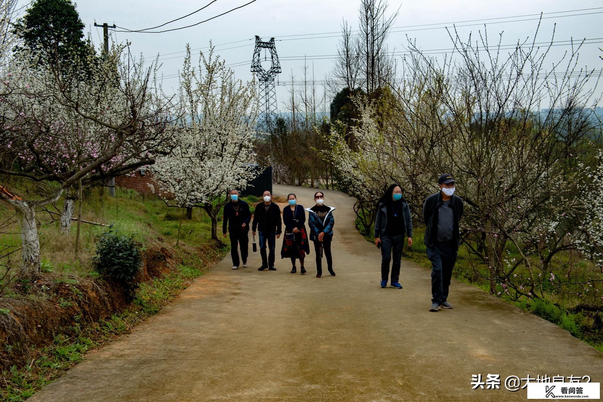 春天到了，你们最想去哪里旅游