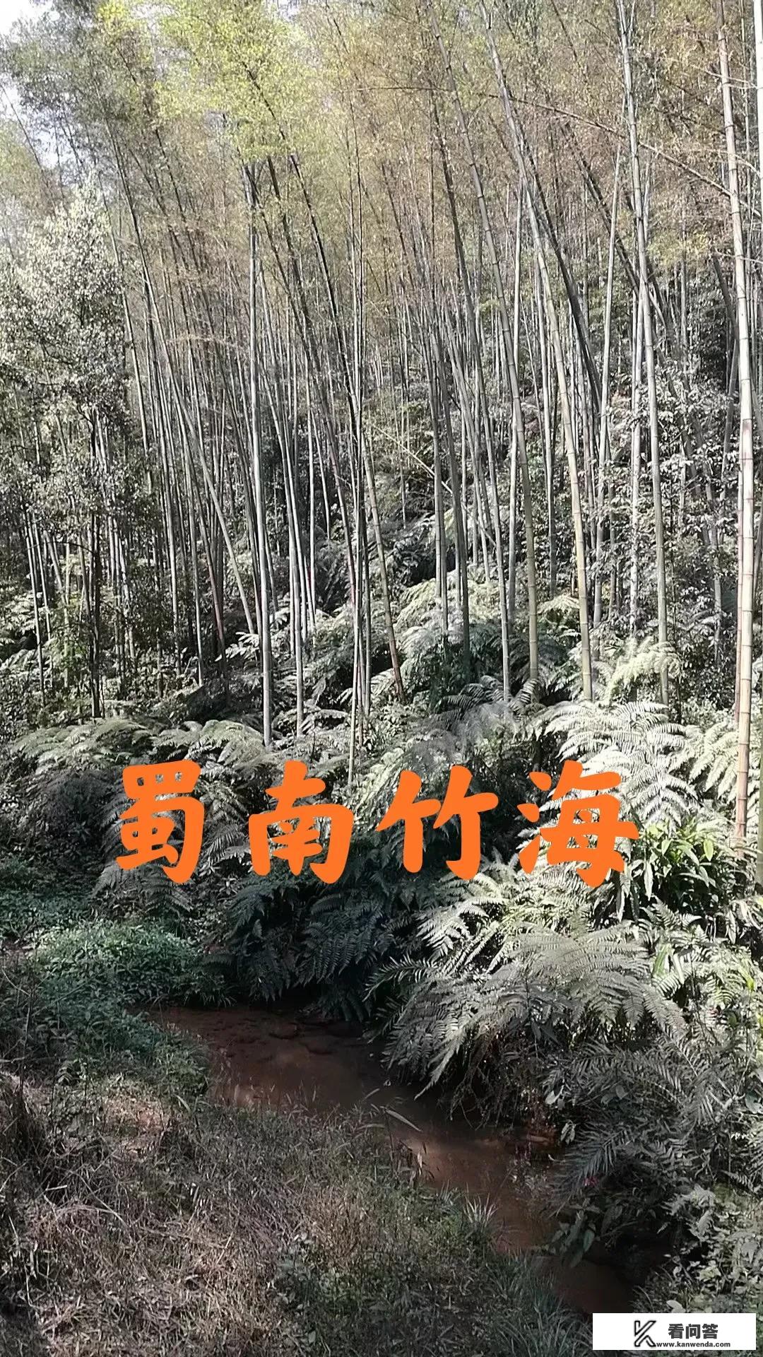 我和邻居去旅游，回来就绝交了，为什么有人说不能和熟人去旅游