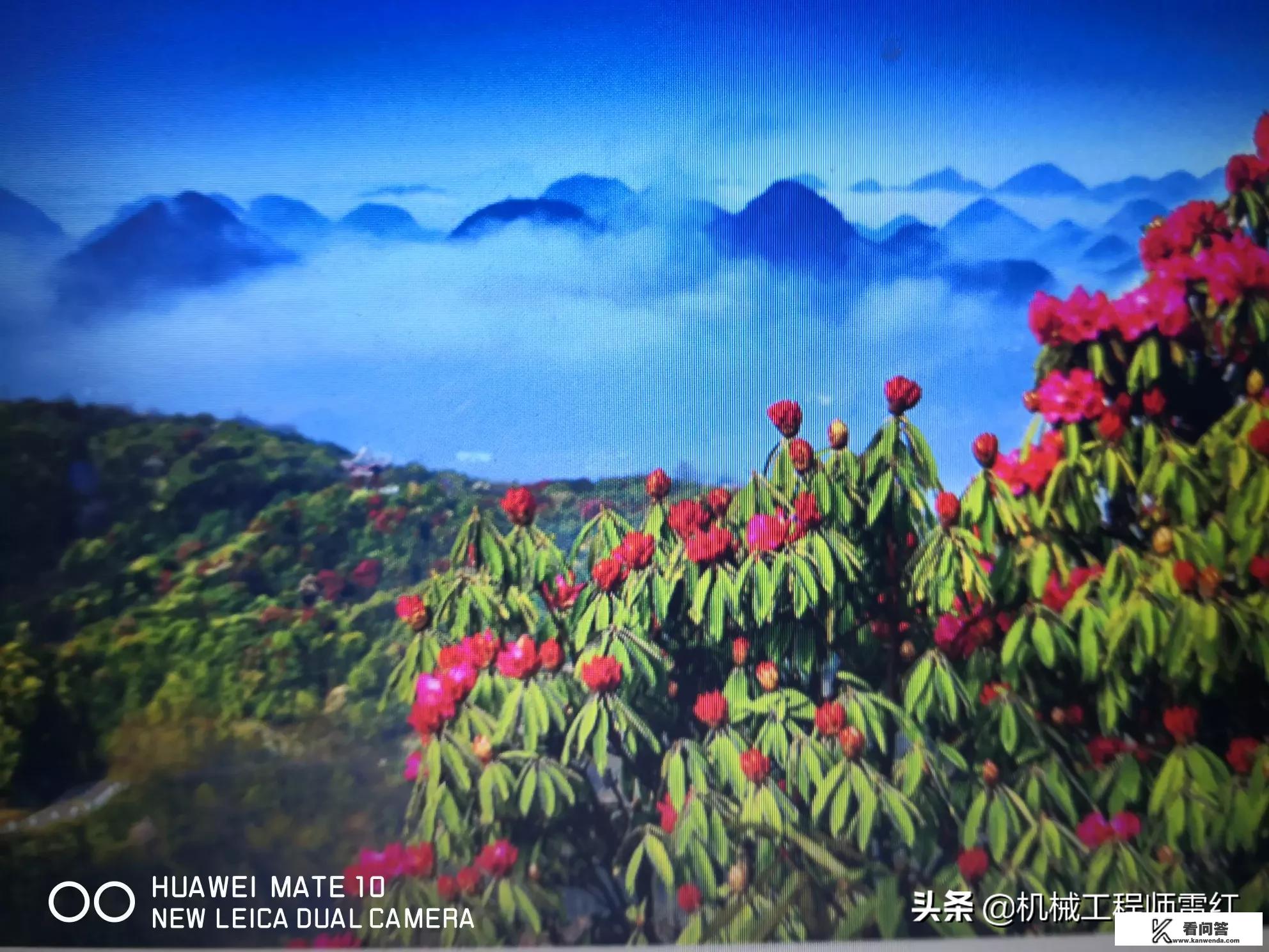 请问去贵州旅游什么季节好