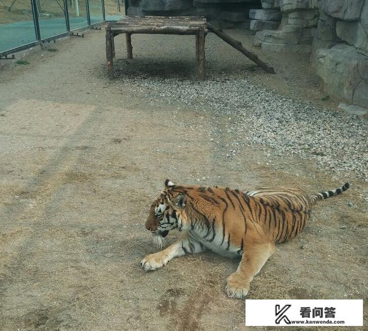 台州湾野生动物园在哪里