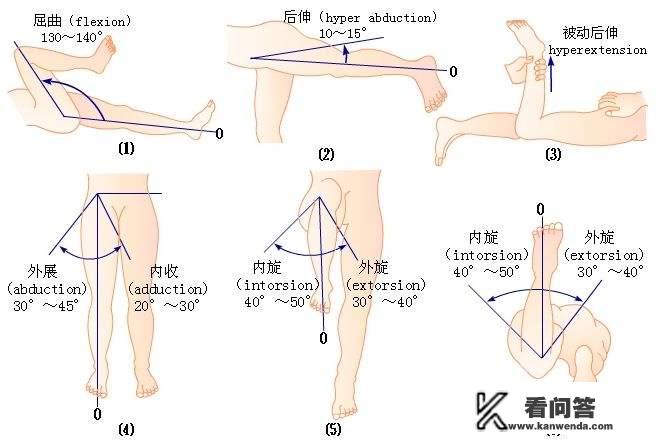 腰椎疾病的自测方式有哪些