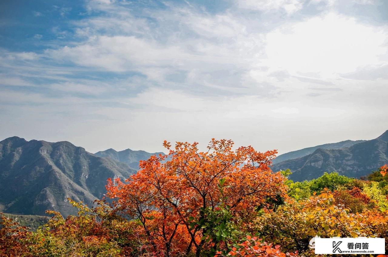 大家好，最近准备去旅游，想要去看有秋天气氛浓郁及金灿灿的感觉地方，有什么地方推荐