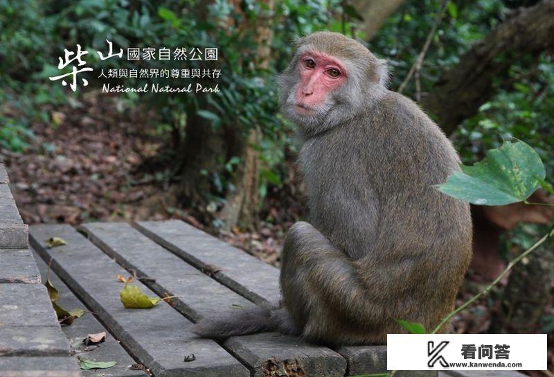 台湾的高雄八景有哪些