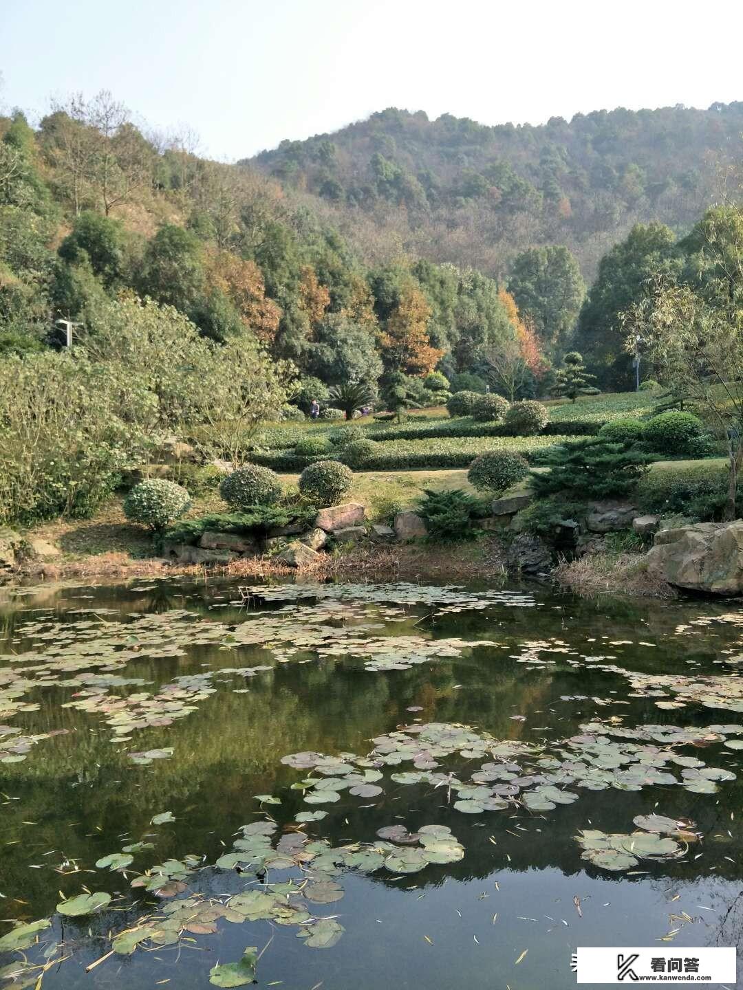 哪里的风景最适合拍照，又浪漫