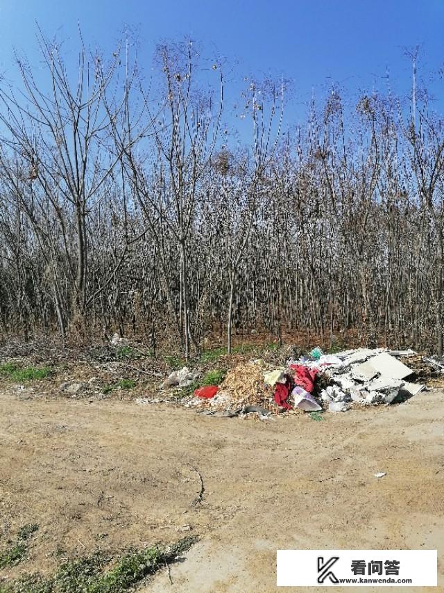 土地流转真正能使粮食产量上升吗