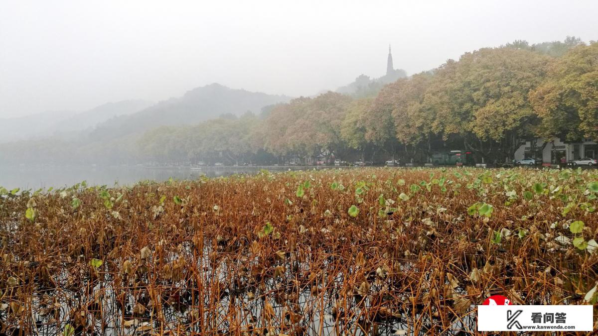 十一月底去杭州西湖怎么样，风景美吗