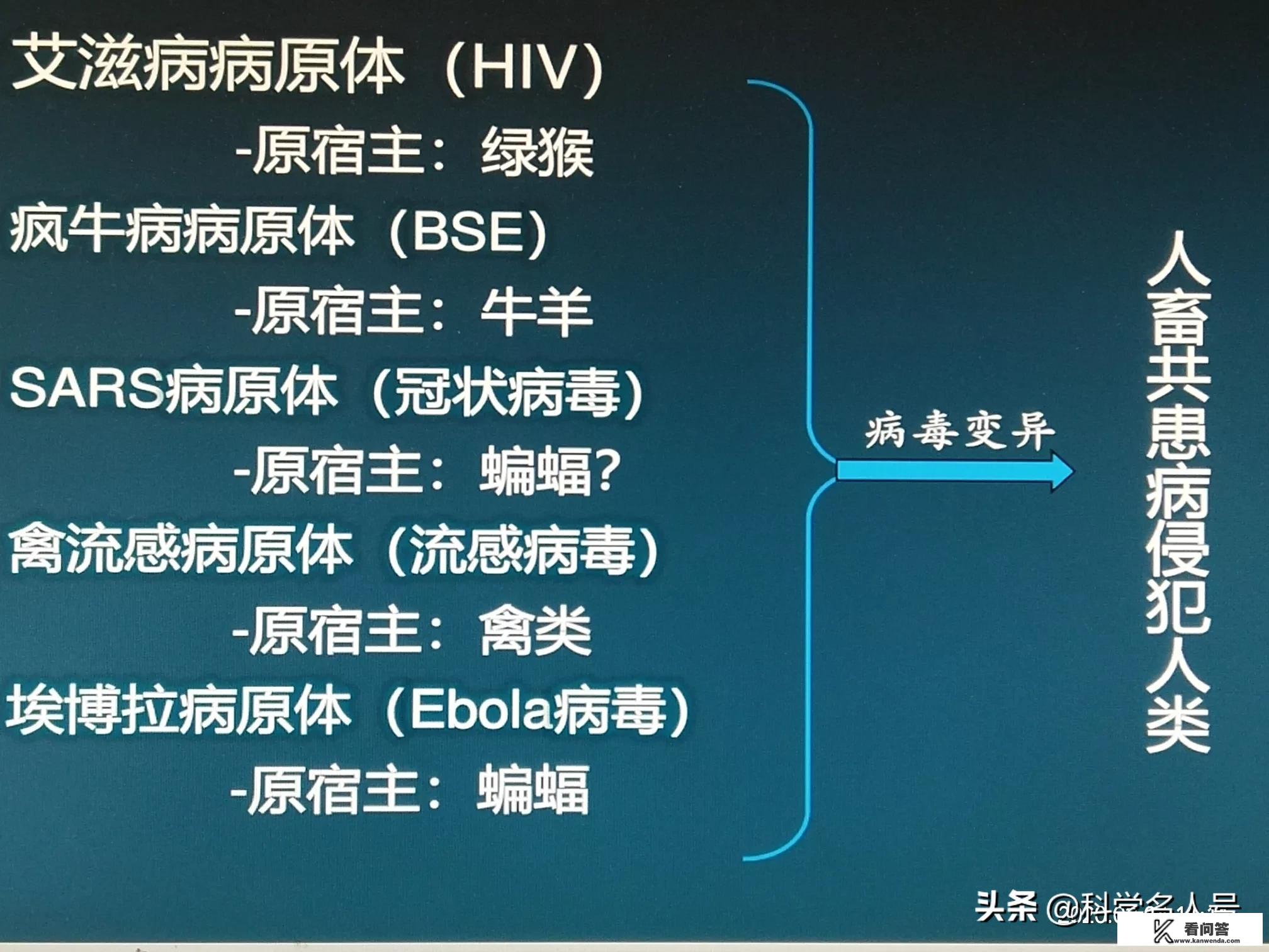 如何看待科学家称冠状病毒为姊妹病毒