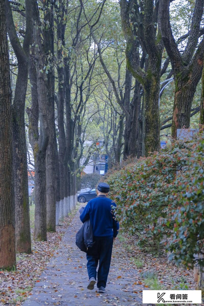 老祖宗留下来的忠告有哪些