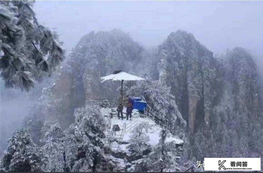 去张家界旅游怕参团太坑了，我该怎么办呢