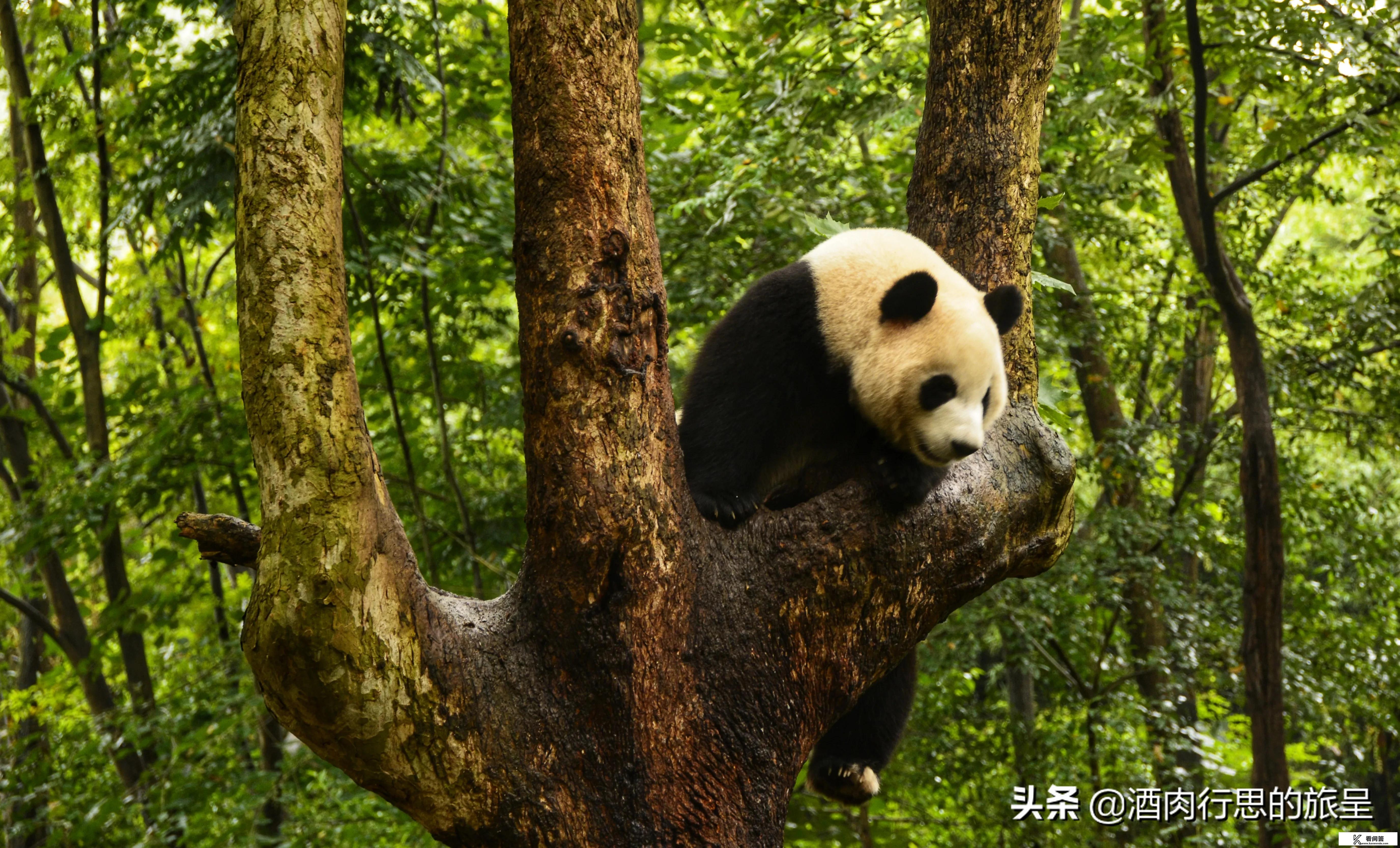 你认为中国人必须去的十大旅游景点是什么地方