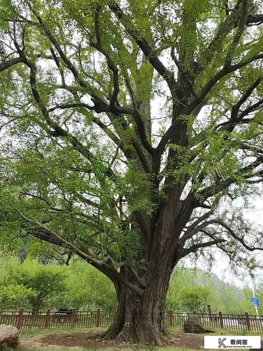 五一假期在即，能否跨省跨国旅游？是否到目的地后要被隔离？五一放假能否出省旅游