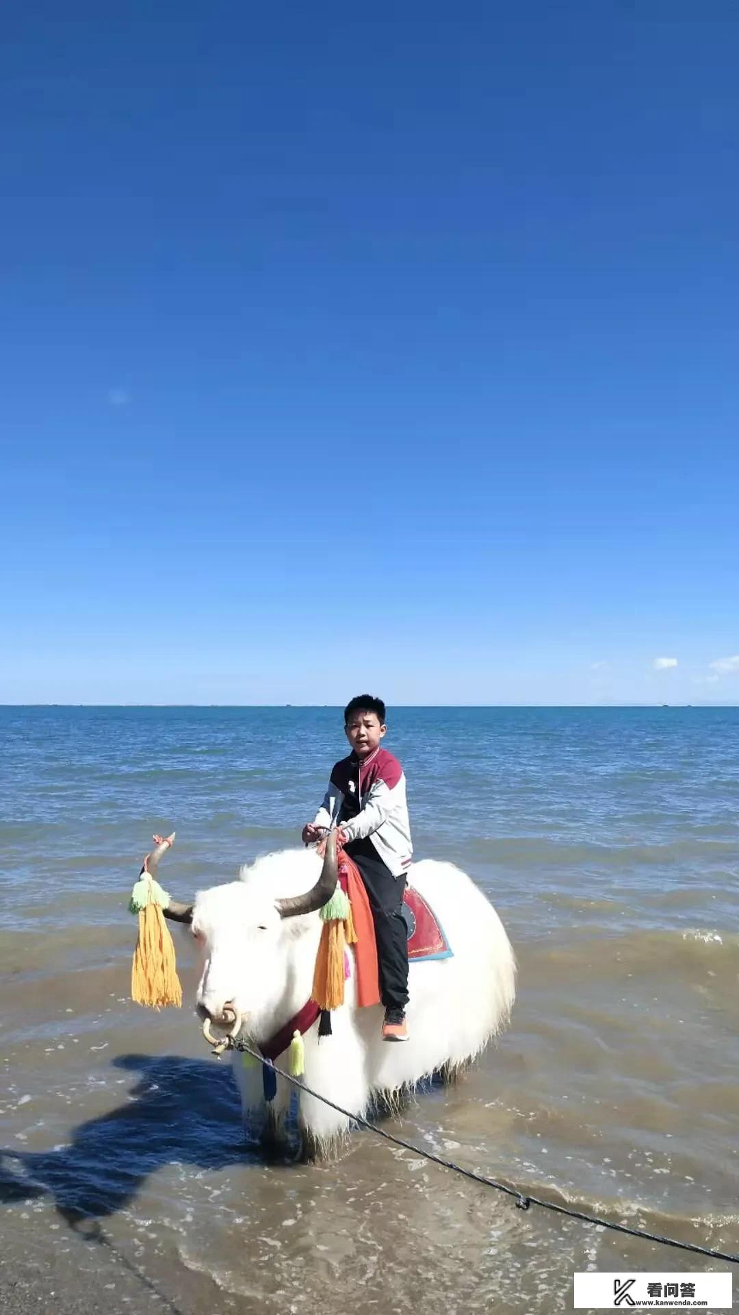 作为最大的内陆湖青海湖，为什么说青海湖是夏天必去景点？夏季超美旅游景点攻略