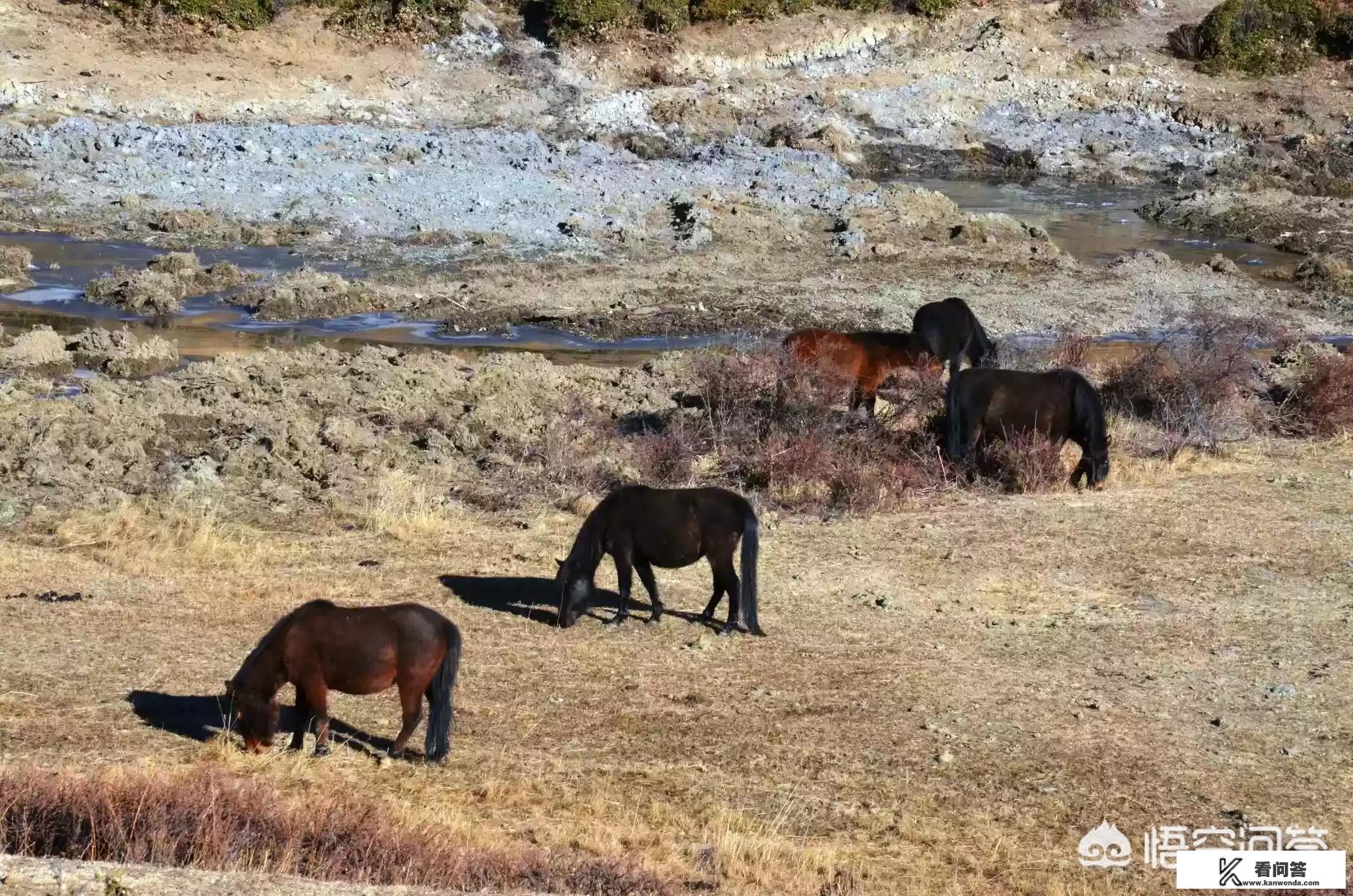 适合旅游时发朋友圈的句子有哪些？出去旅游发朋友圈的