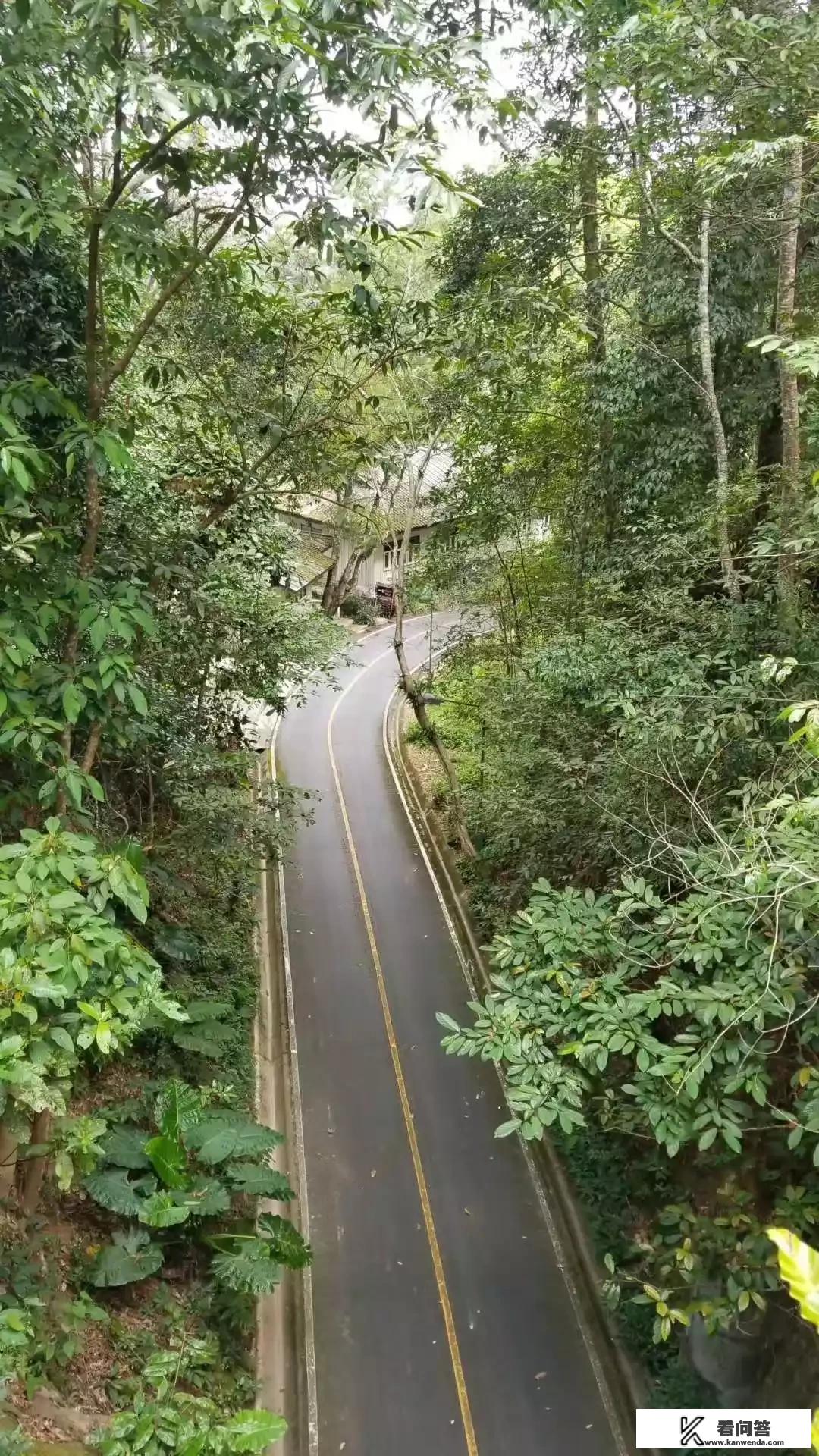 从昆明出发前往西双版纳自驾游，该如何规划行程？云南旅游攻略含西双版纳