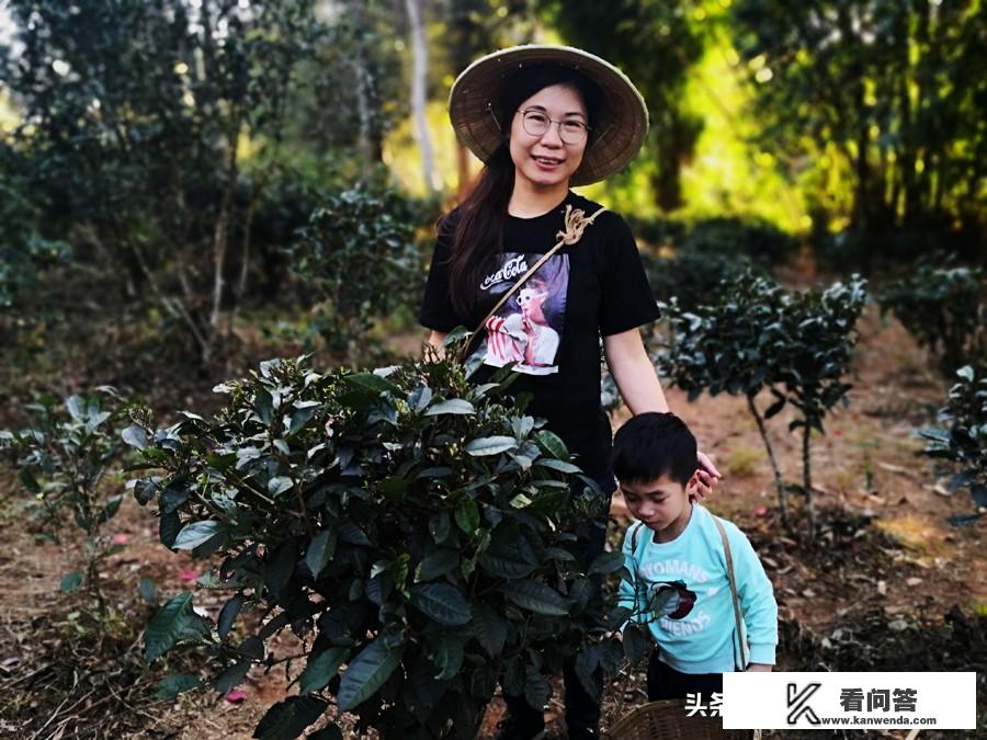 快放寒假了，计划带孩子出门旅游，哪里最值得孩子去？带娃去哪里旅游过春节