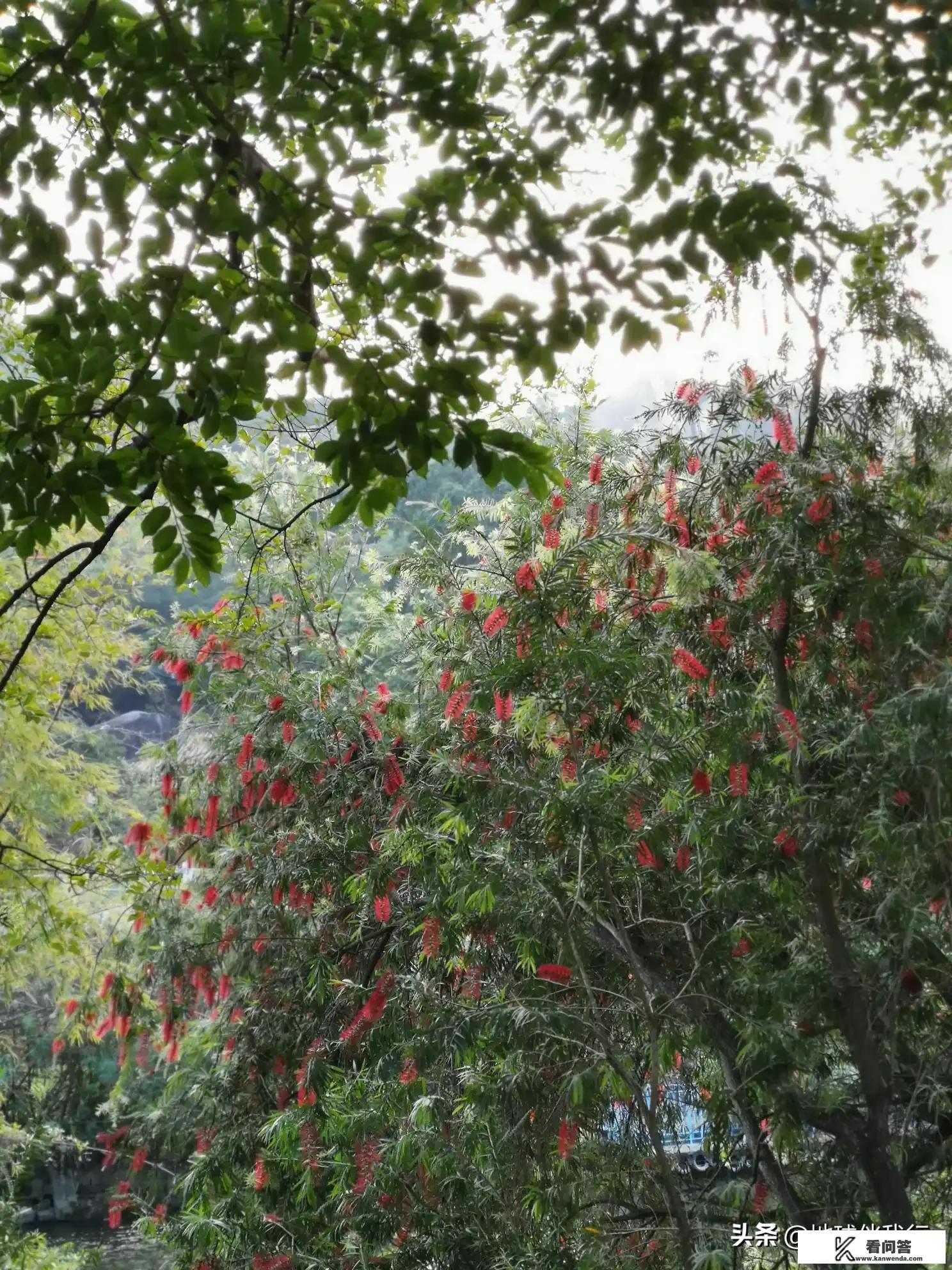 疫情结束后，全球旅游业会快速上升吗？疫情影响国际旅游业