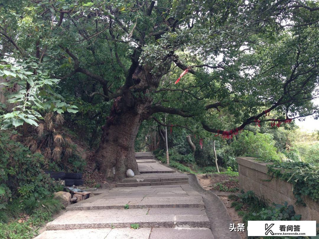 你喜欢哪种形式的旅游？流连互娱网络游戏有哪些