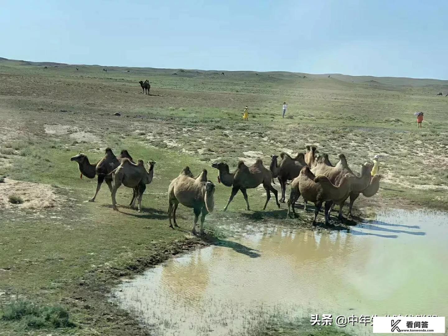 去新疆旅行一周，费用大概是多少？每周一个城市旅游