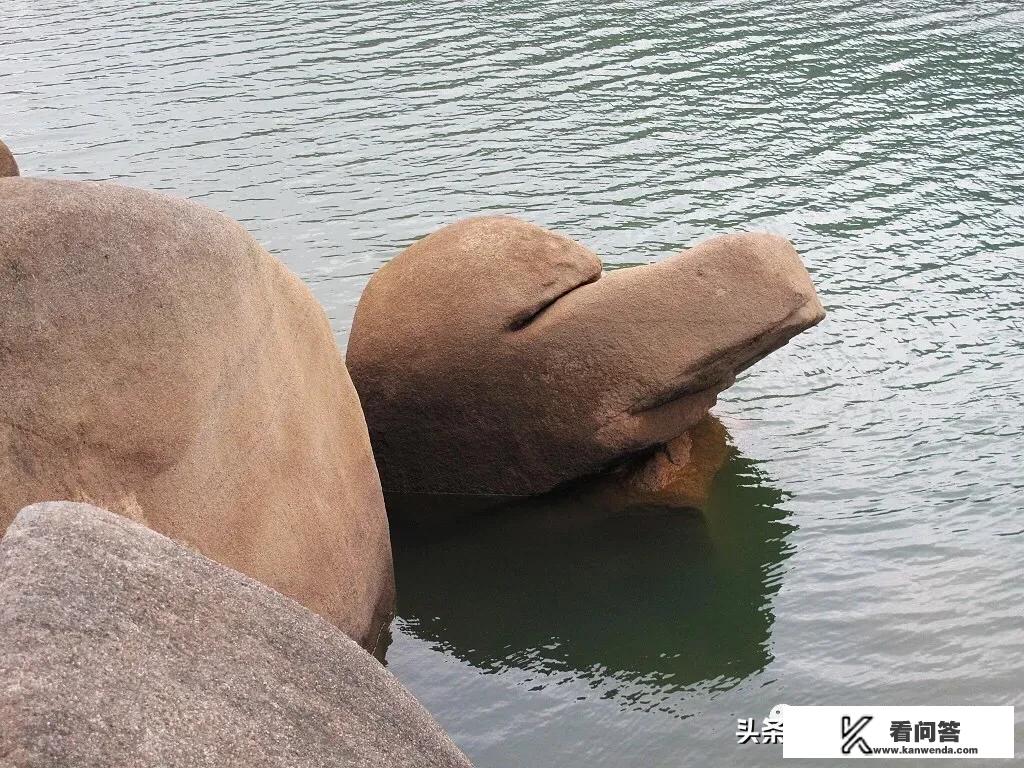 十一月适合去哪里旅游？国内11月去哪旅游最好