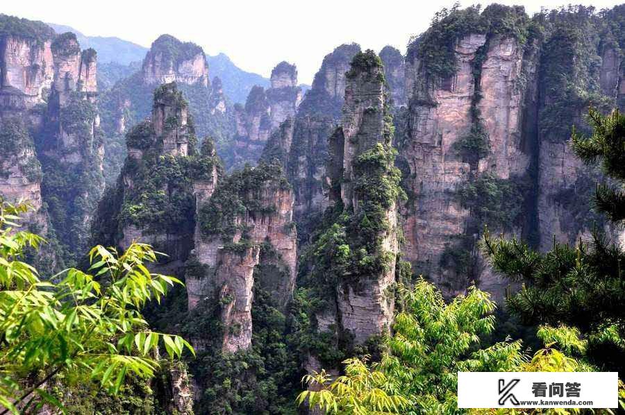 去张家界玩3天，时间够用吗？3日游旅游张家界