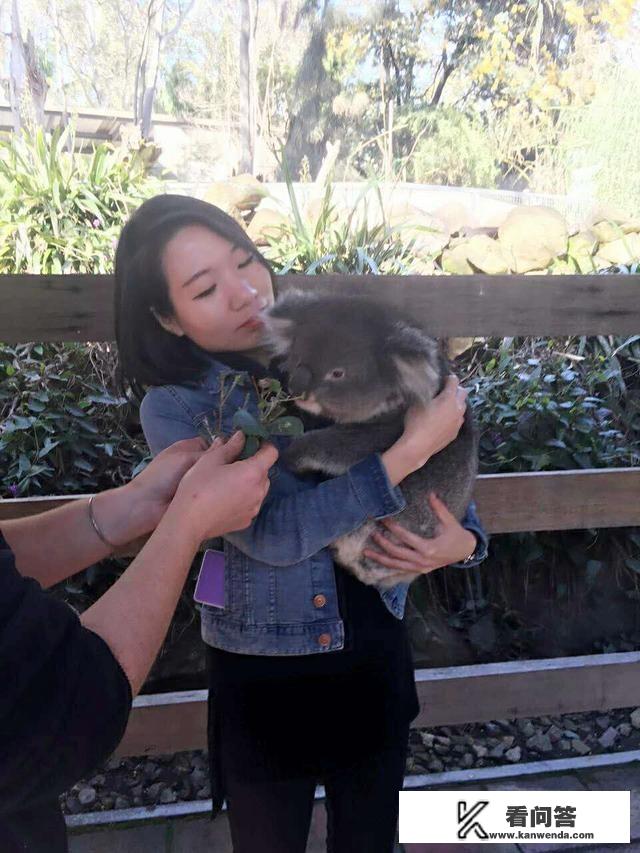 阿德莱德留学的利弊