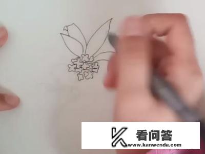 清香的桂花简笔画绘画方法