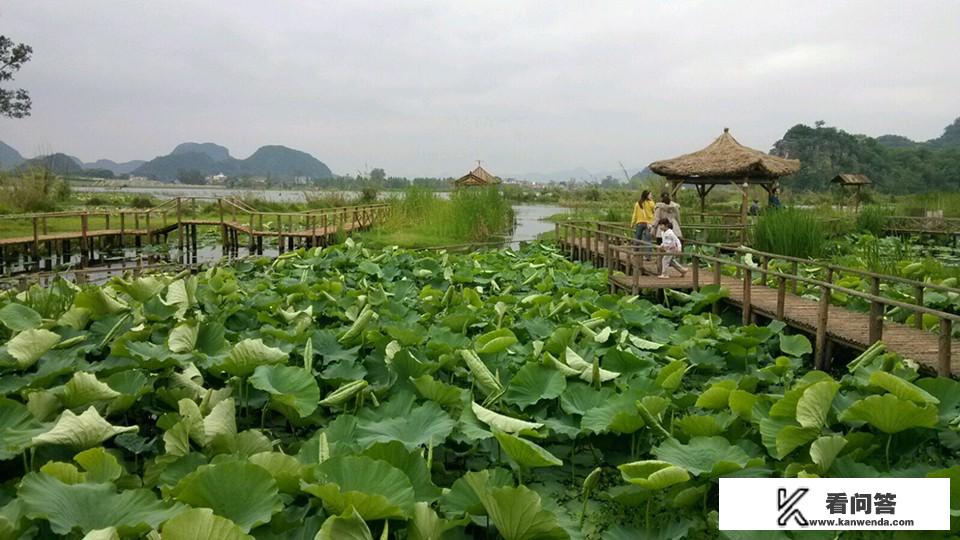 去云南旅游报当地团好还是在本地报团好呢