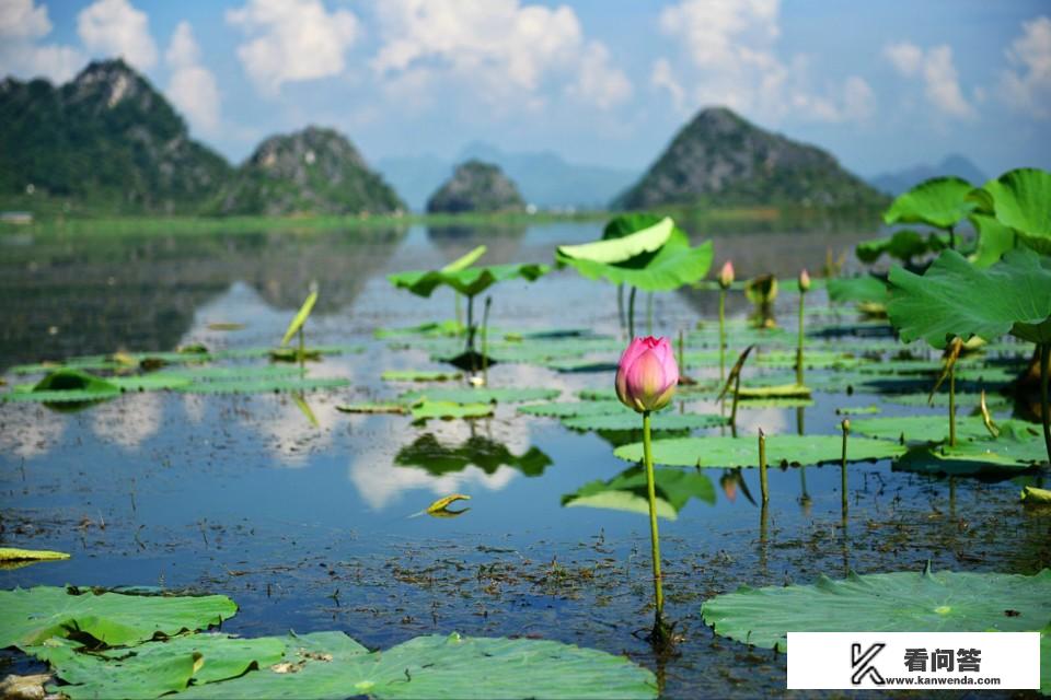 去云南旅游报当地团好还是在本地报团好呢