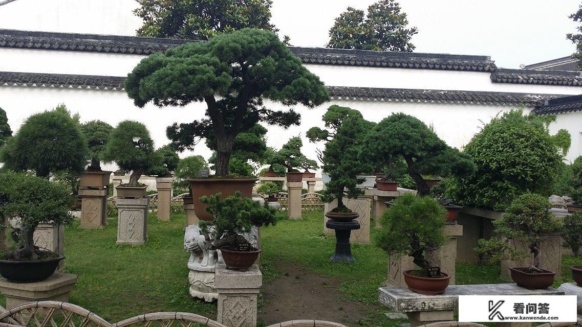 苏州最值得旅游的地方及景点是哪里？希望大家一起来讨论