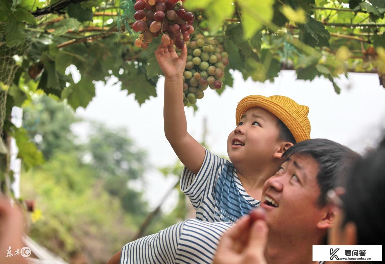 什么是生态旅游