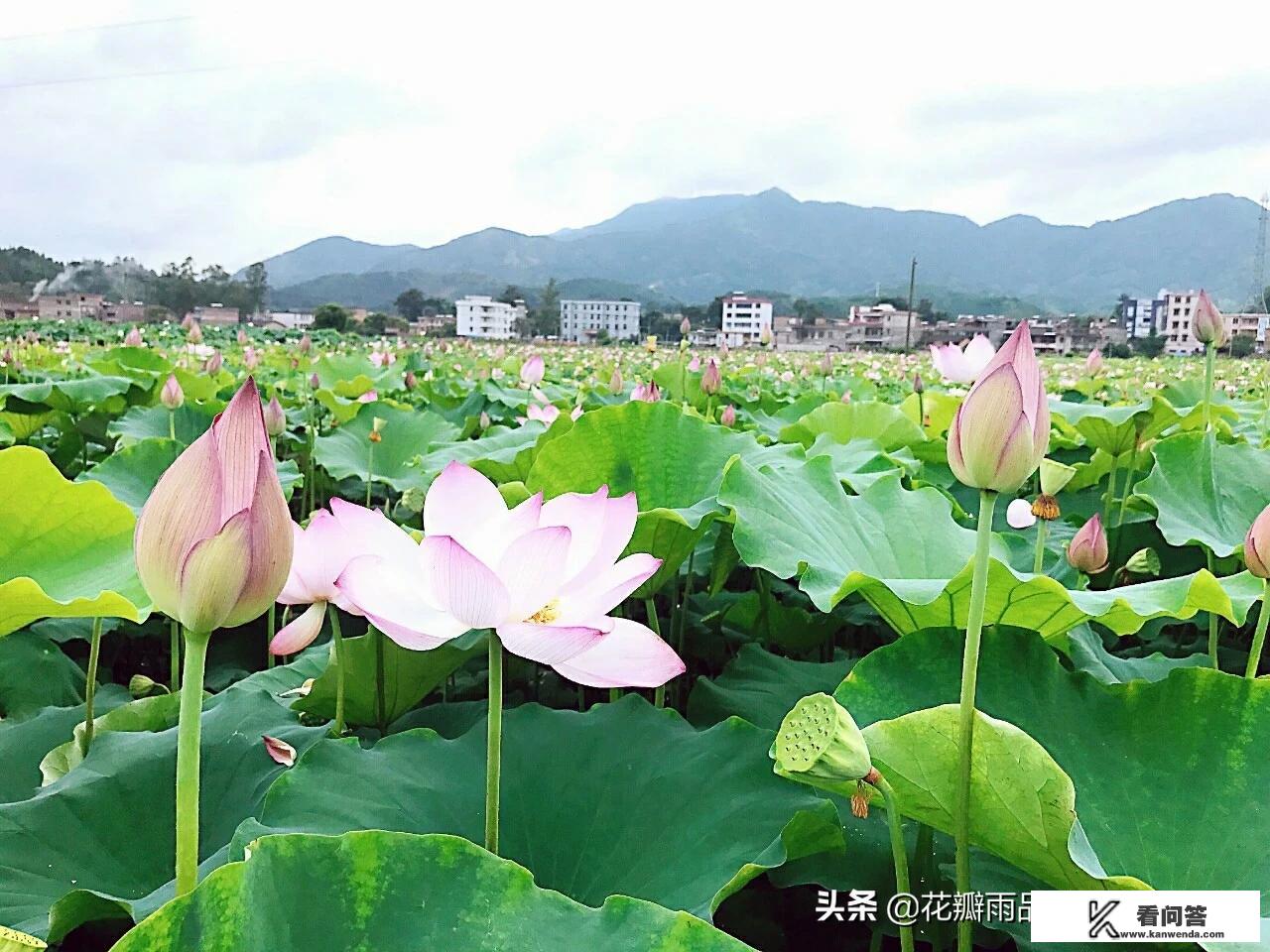 文化创意与旅游业的互动有哪些产品形态