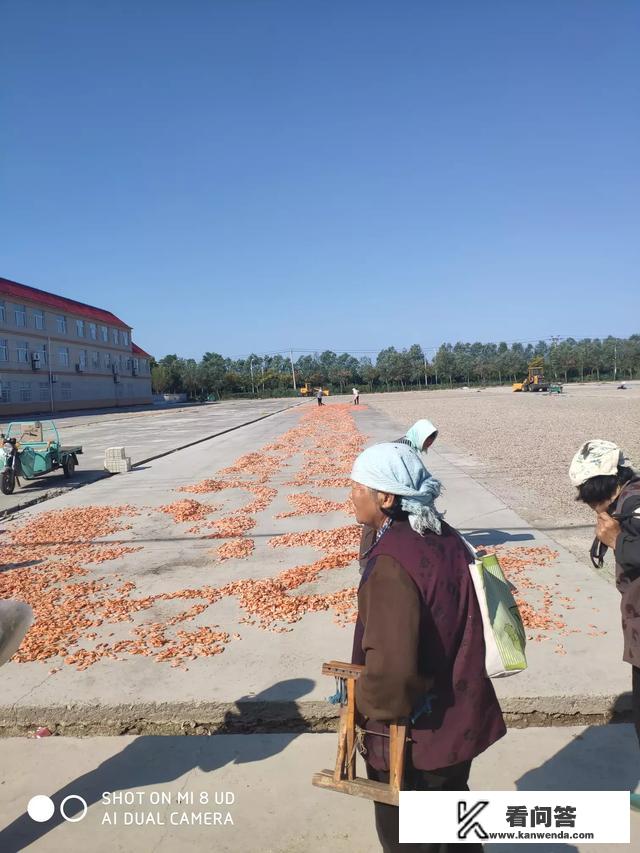 家在农村有什么适合老头老太太在家干的事