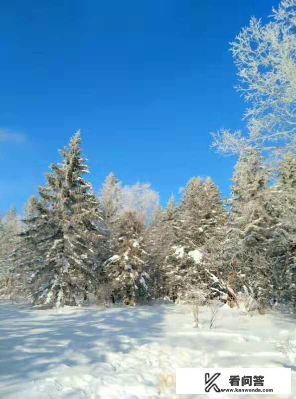 新闻屡次曝光雪乡宰客事件，去雪乡旅游能有多坑