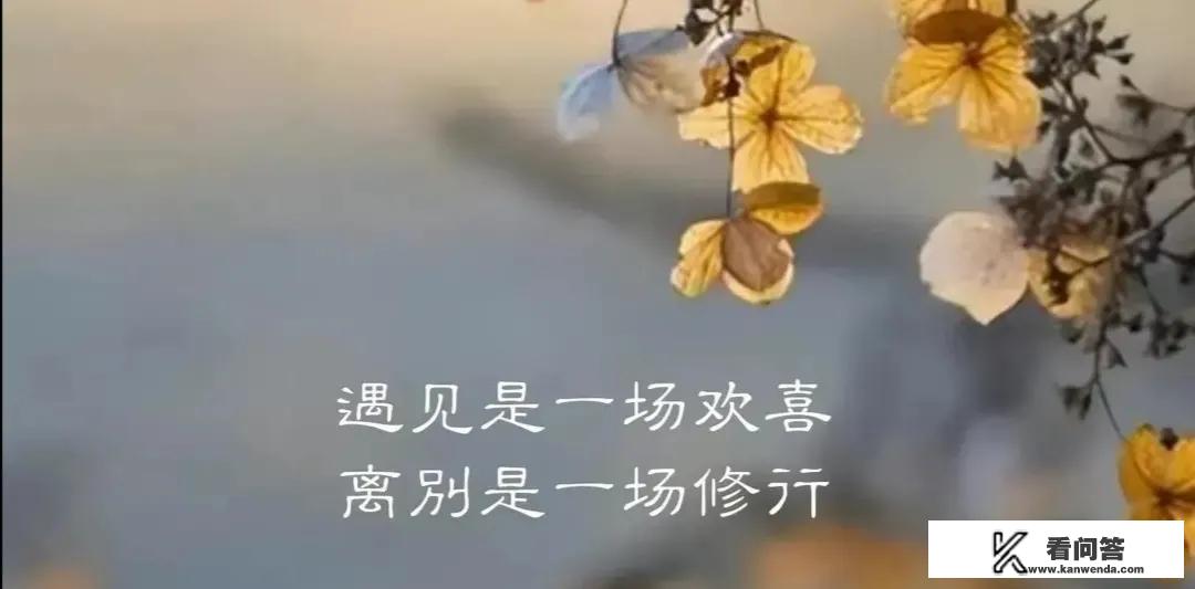 穿越古代后宫小说