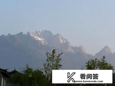 云南旅游导游带去买普洱茶能买吗