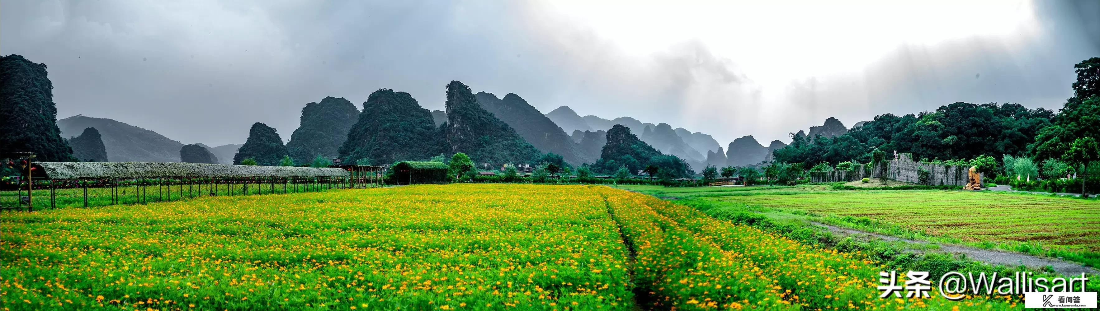 赏油菜花穿什么衣服好