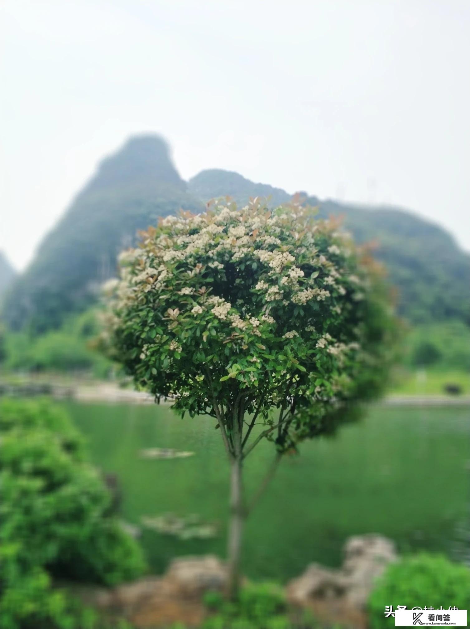 疫情过后，你认为旅游业会在什么时间段来一个爆发！集中旅游地点会在哪些地方