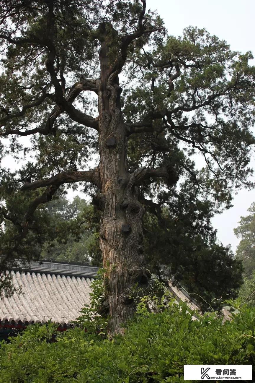 五一黄金周，北京周边旅游有什么好去处