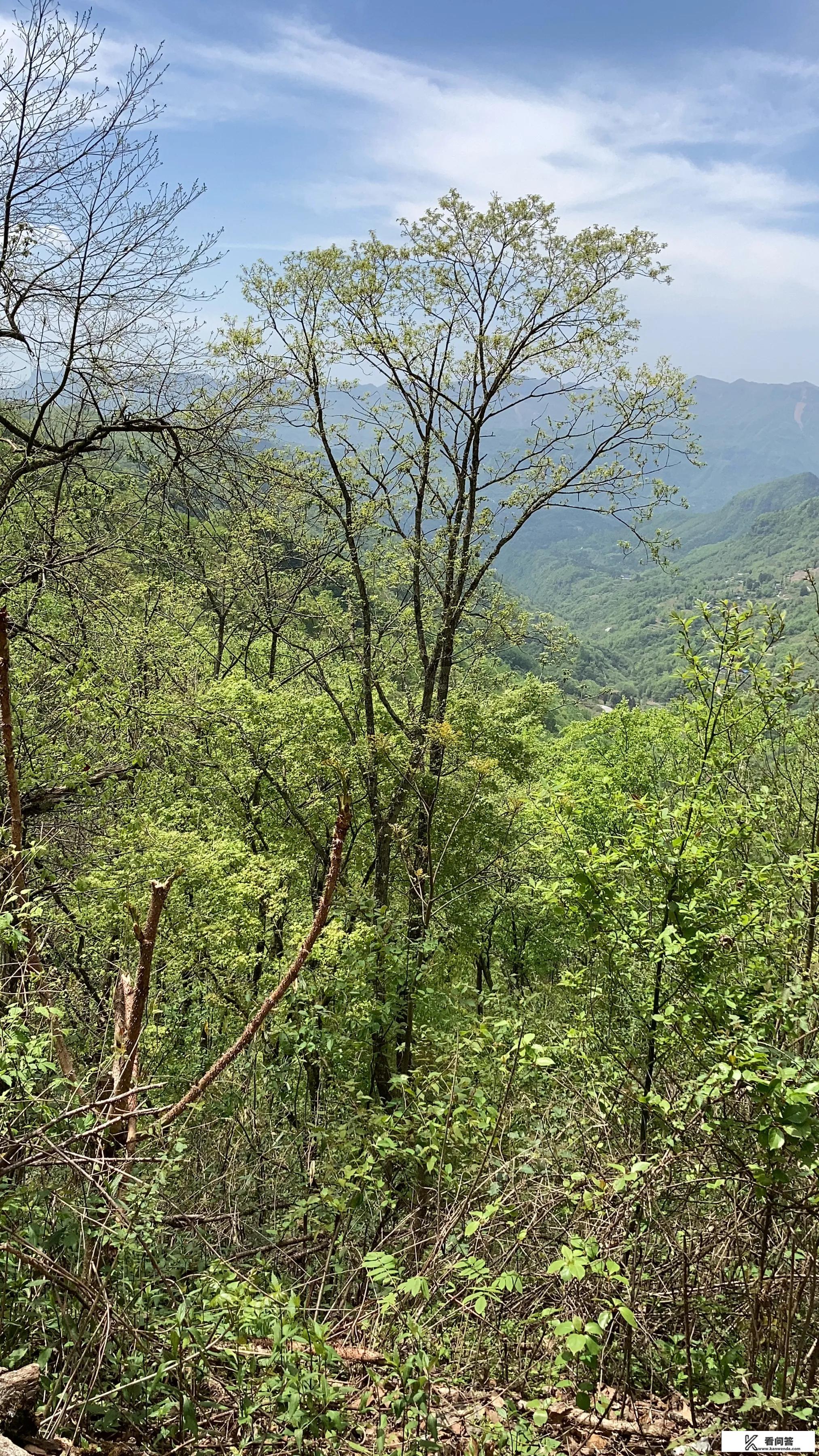 疫情后，旅游业的发展机会在哪里