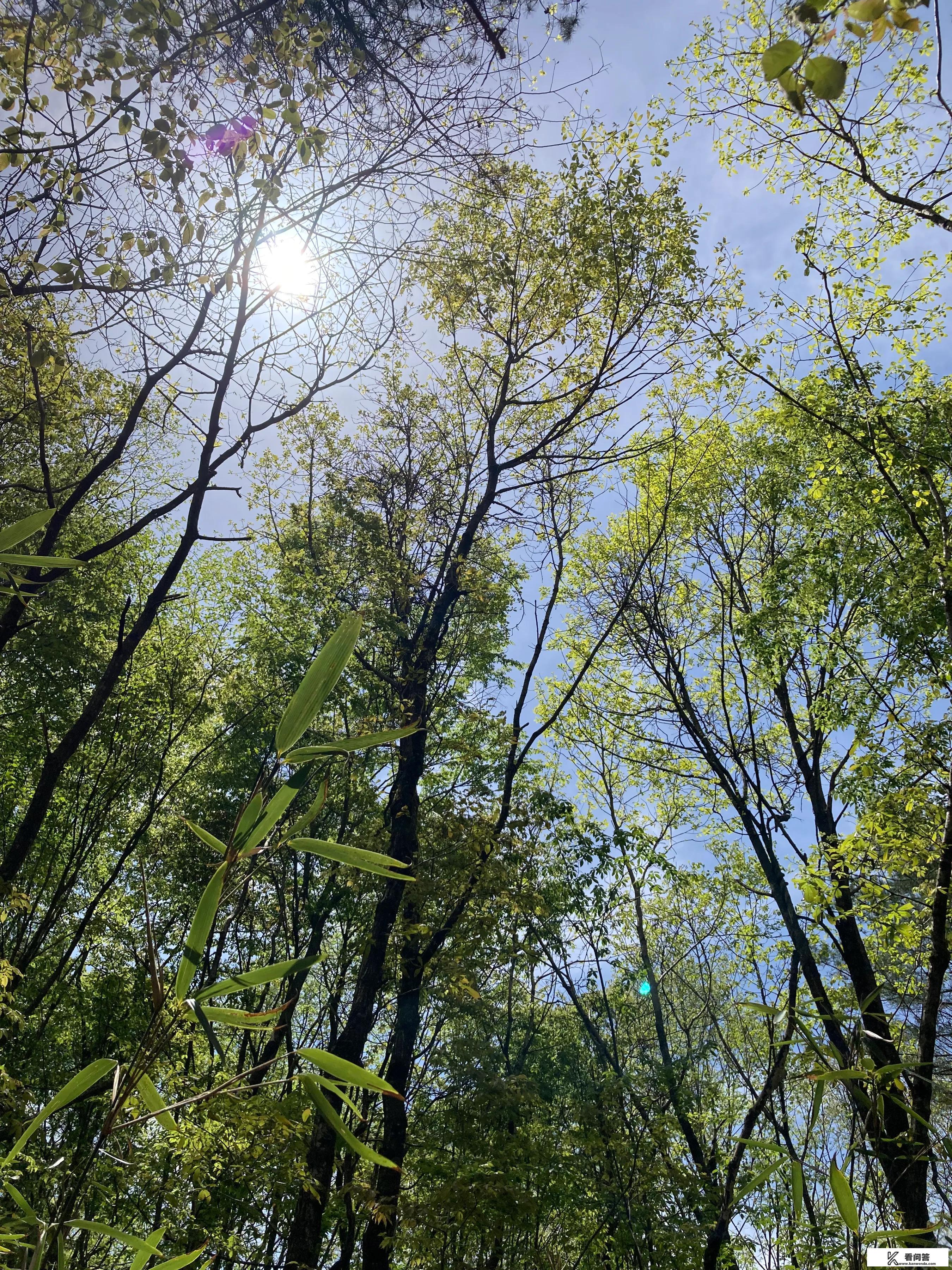 疫情后，旅游业的发展机会在哪里