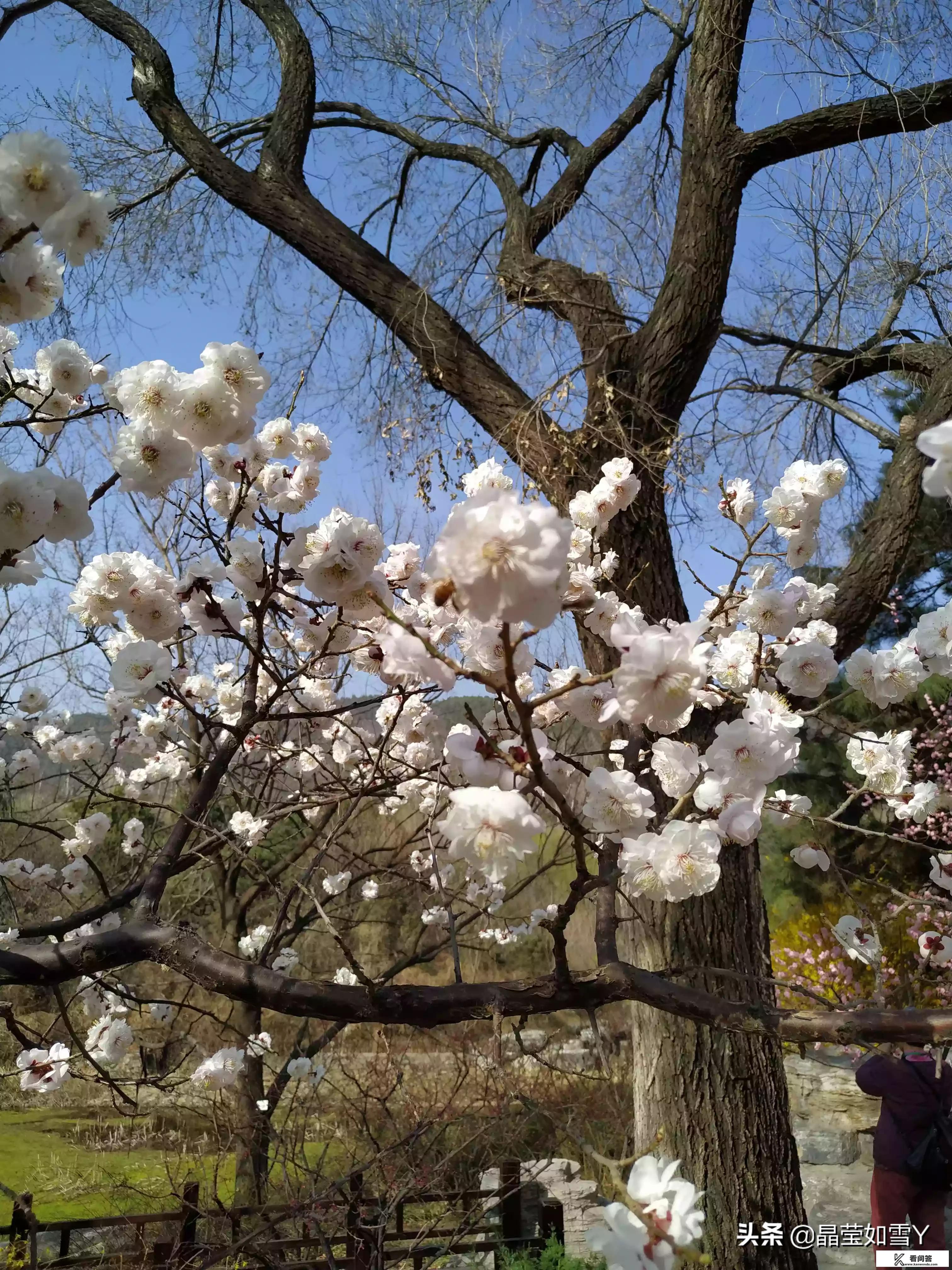 清明小长假旅游约团，你有计划出游吗