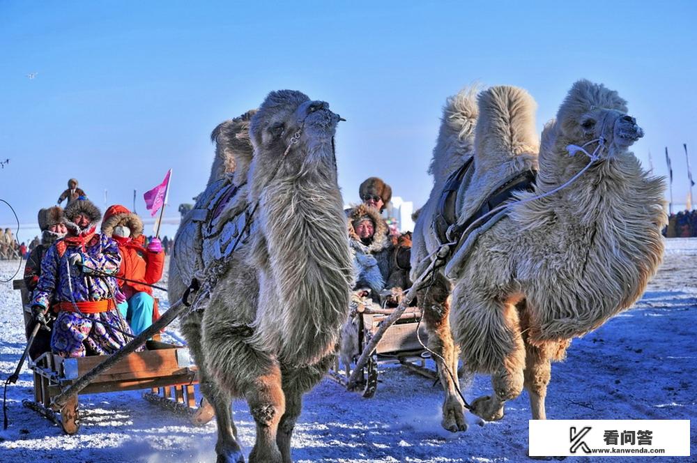 冬季去内蒙古过春节，需要准备些什么装备